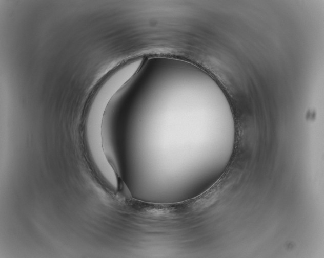 X0000096170160200802081419