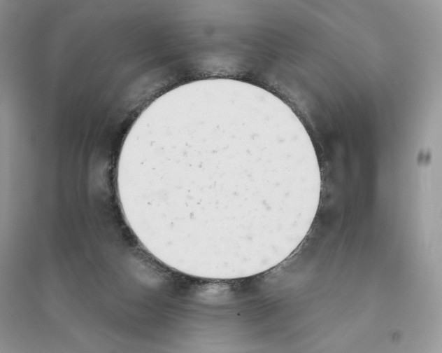 X0000096170162200802081419