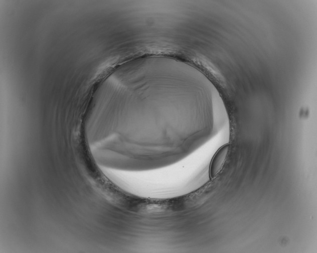 X0000096170163200802081419