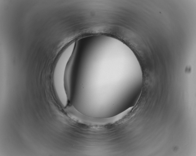 X0000096170164200802081419