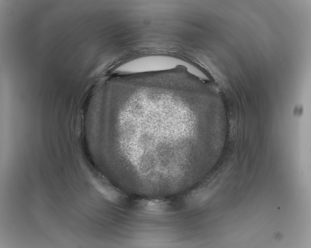 X0000096170165200802081419