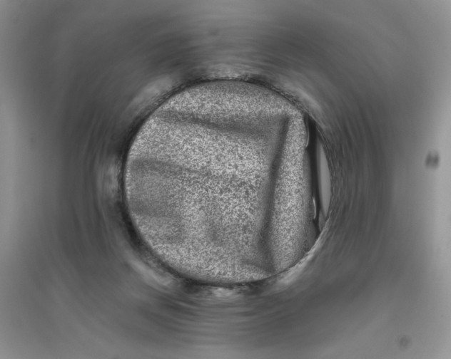 X0000096170166200802081419