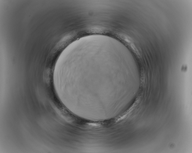 X0000096170167200802081419