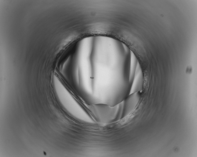 X0000096170168200802081419