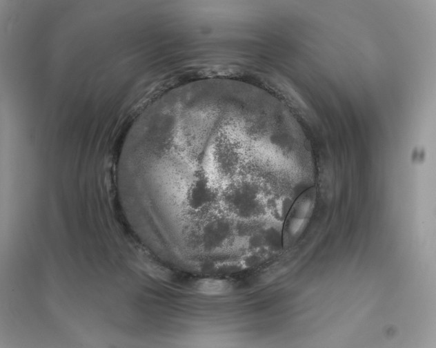 X0000096170169200802081419