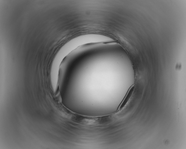 X0000096170170200802081419