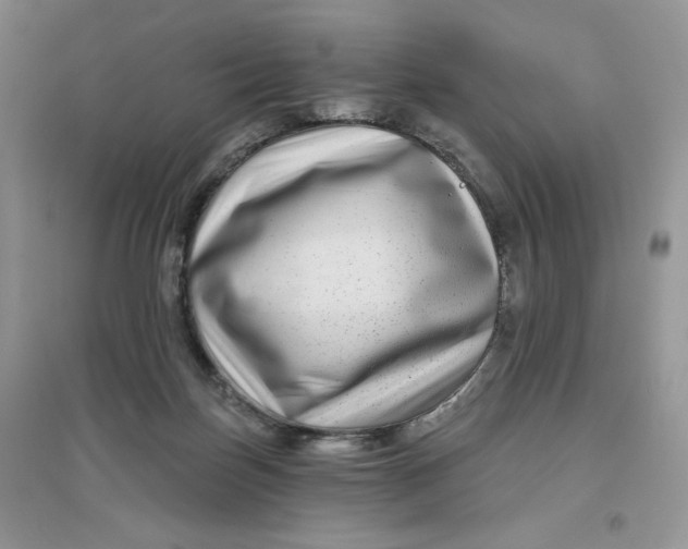 X0000096170171200802081419