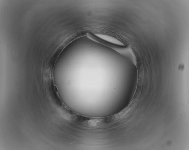 X0000096170172200802081419