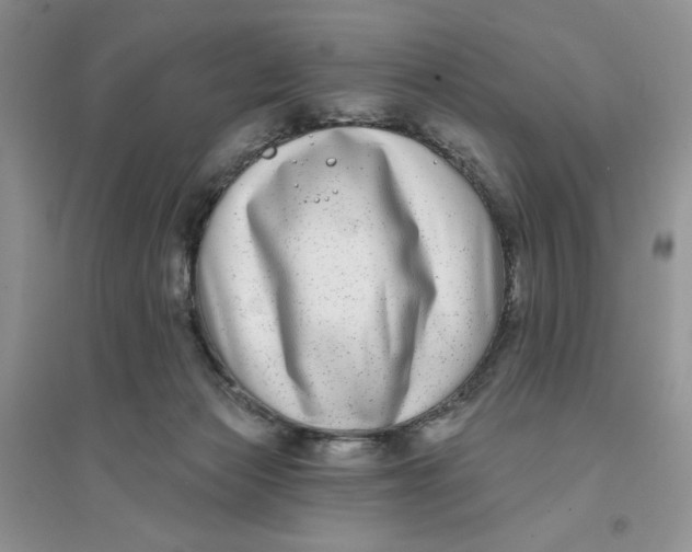 X0000096170173200802081419