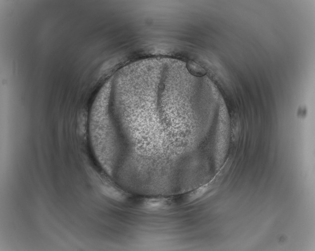 X0000096170175200802081419