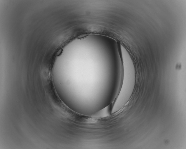 X0000096170176200802081419