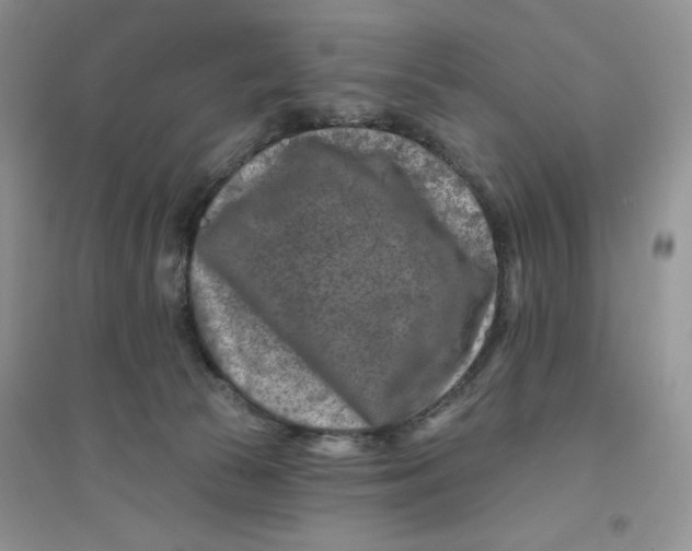 X0000096170177200802081419