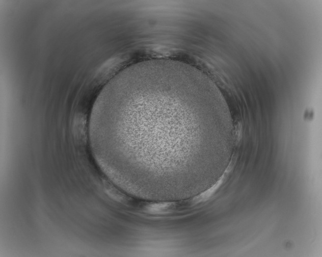 X0000096170178200802081419