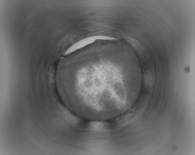 X0000096170181200802081419