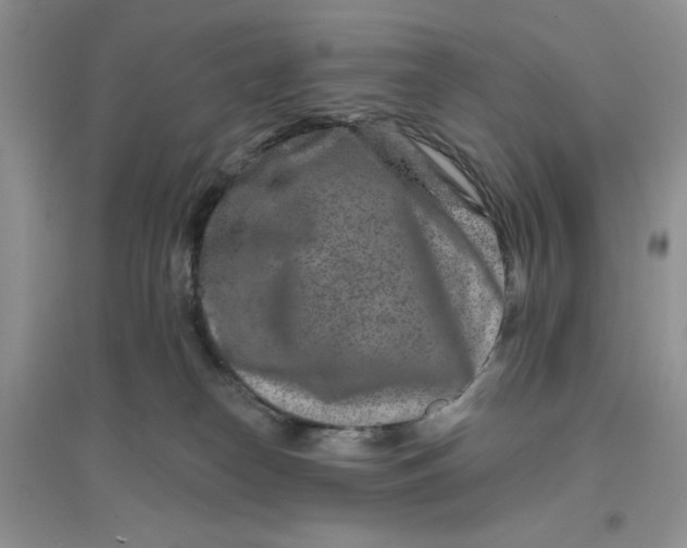 X0000096170182200802081419