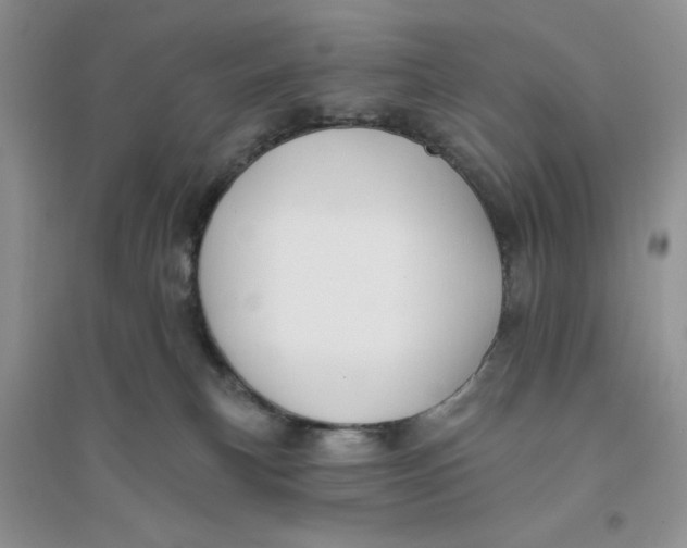 X0000096170183200802081419