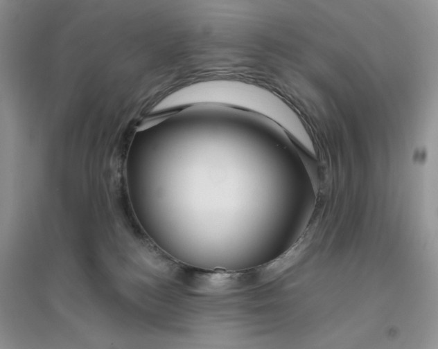 X0000096170184200802081419