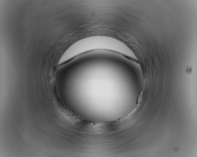 X0000096170186200802081419