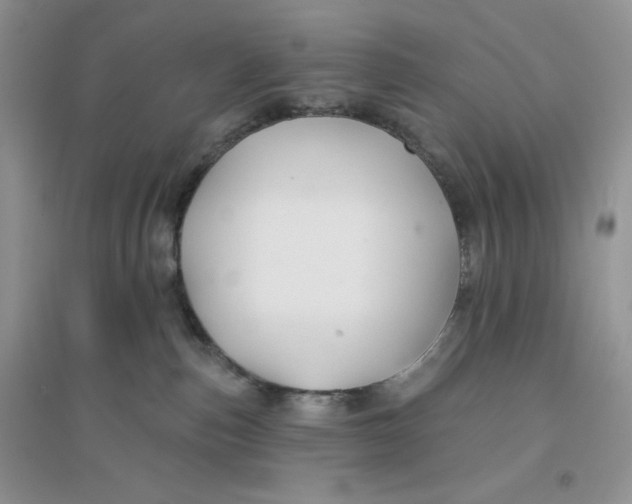 X0000096170187200802081419