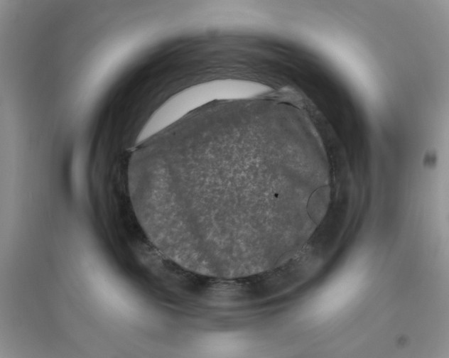 X0000096170189200802081419