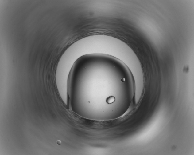 X0000096170190200802081419