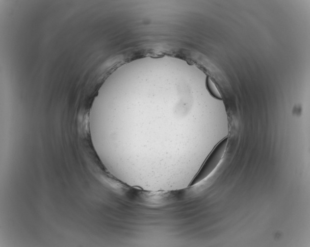 X0000096170191200802081419