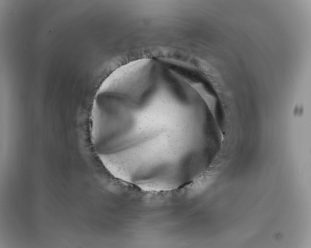 X0000096170192200802081419