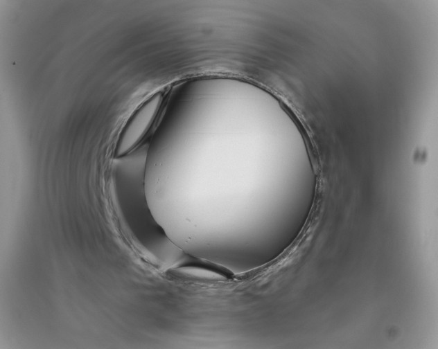 X0000096170193200802081419