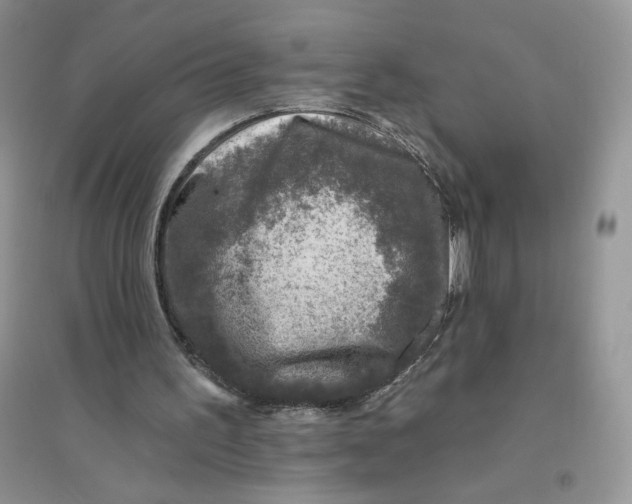 X0000096170195200802081419