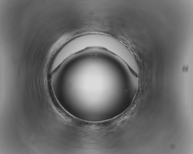 X0000096170197200802081419