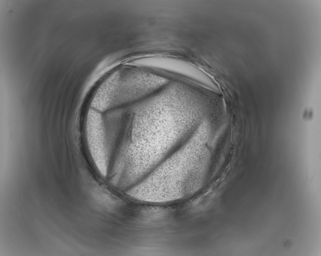 X0000096170198200802081419