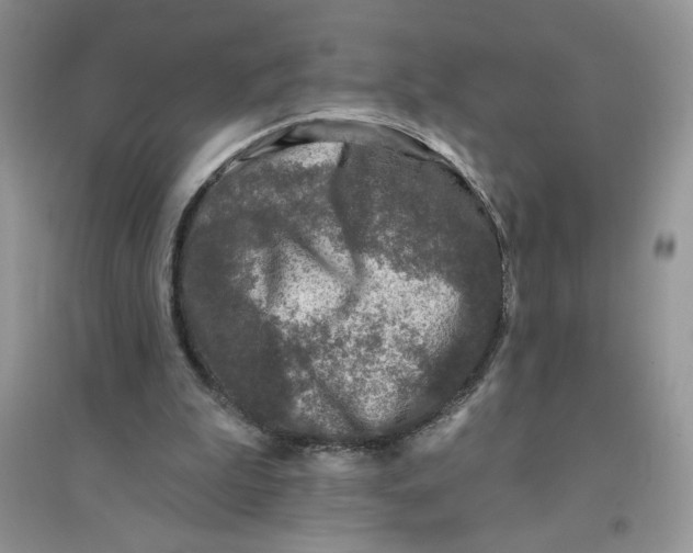 X0000096170199200802081419