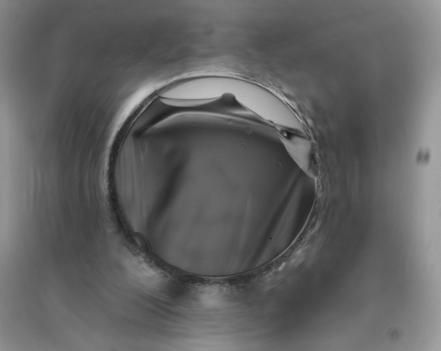 X0000096170200200802081419