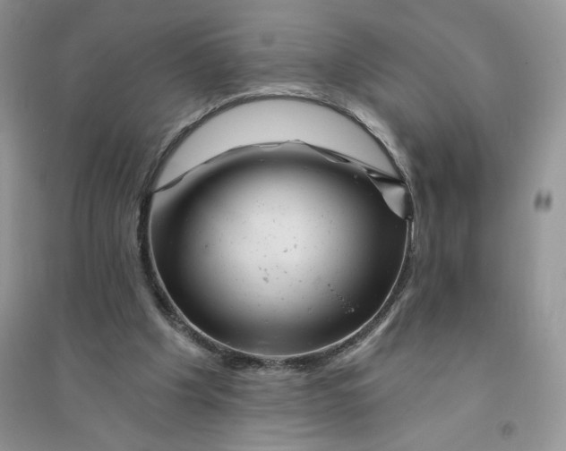 X0000096170201200802081419