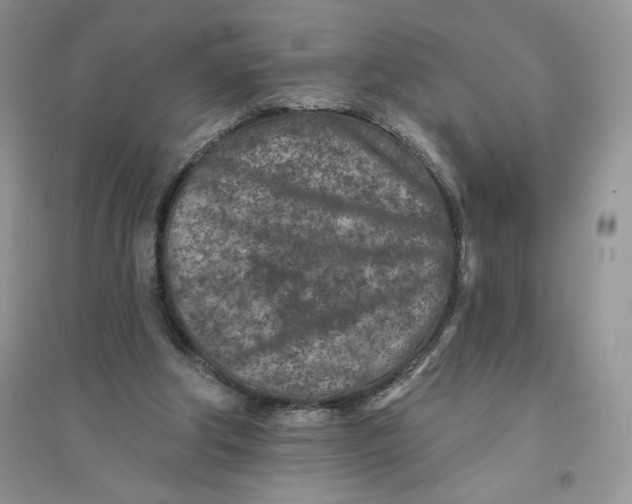 X0000096170202200802081419