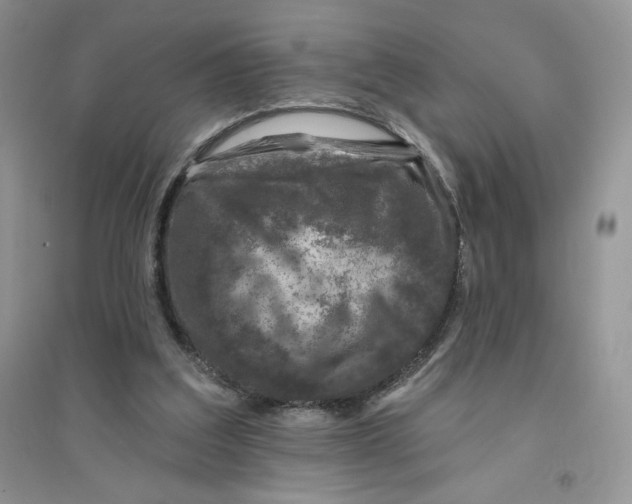 X0000096170203200802081419