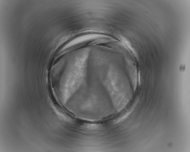 X0000096170205200802081419