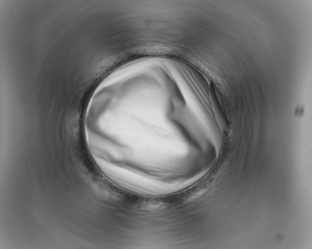 X0000096170206200802081419