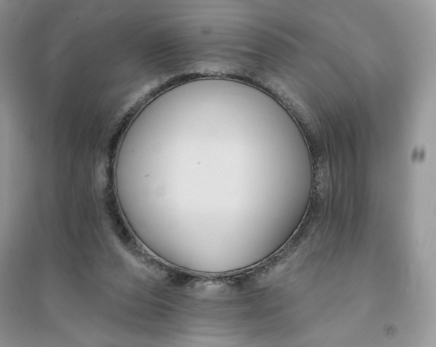 X0000096170208200802081419