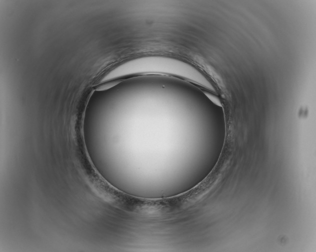 X0000096170209200802081419