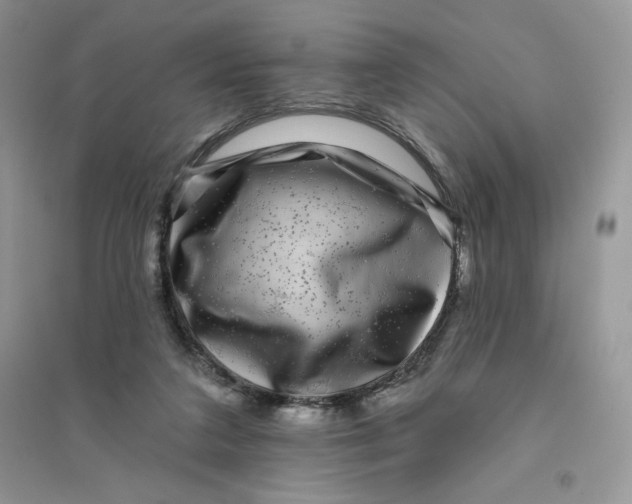 X0000096170211200802081419