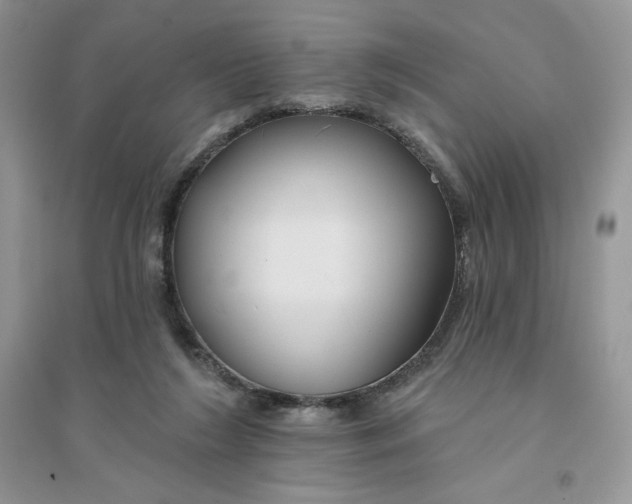 X0000096170212200802081419