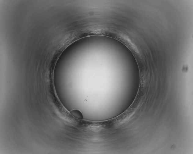 X0000096170213200802081419