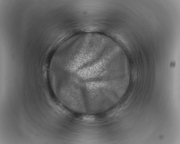 X0000096170214200802081418