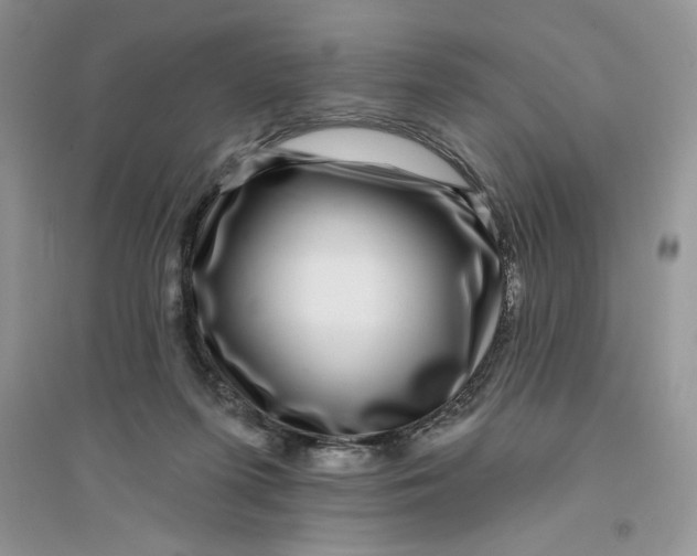 X0000096170215200802081418