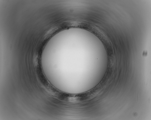 X0000096170216200802081418