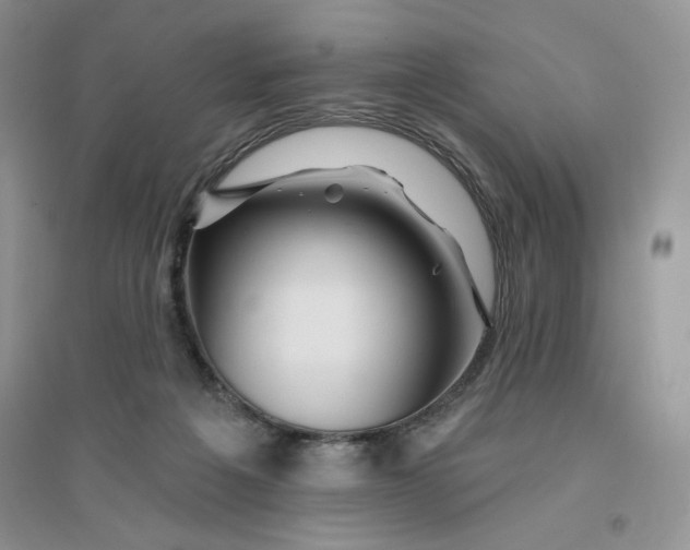 X0000096170217200802081418