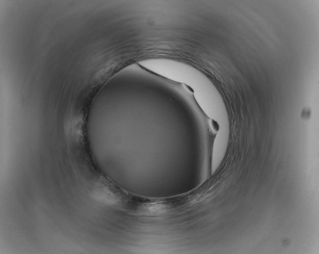 X0000096170219200802081418