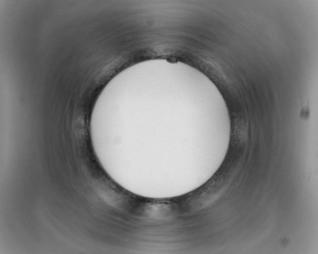 X0000096170220200802081418