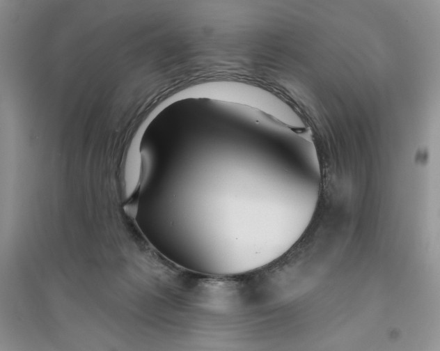 X0000096170221200802081418